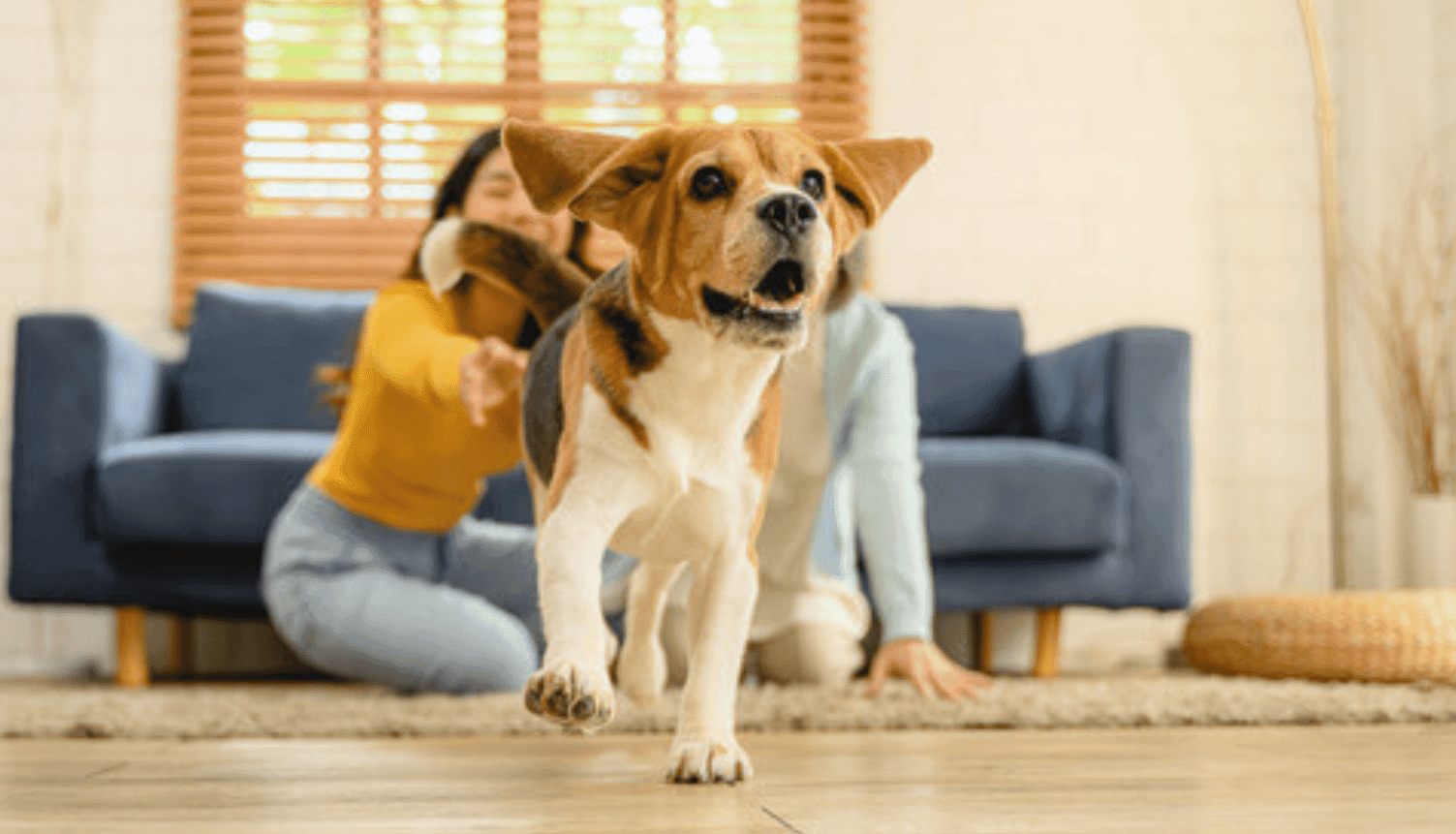 Waterproof, Kid-Proof and Pet-Proof
